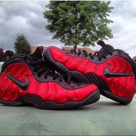 Meet your Posher, Kai - Picture 1 of 1